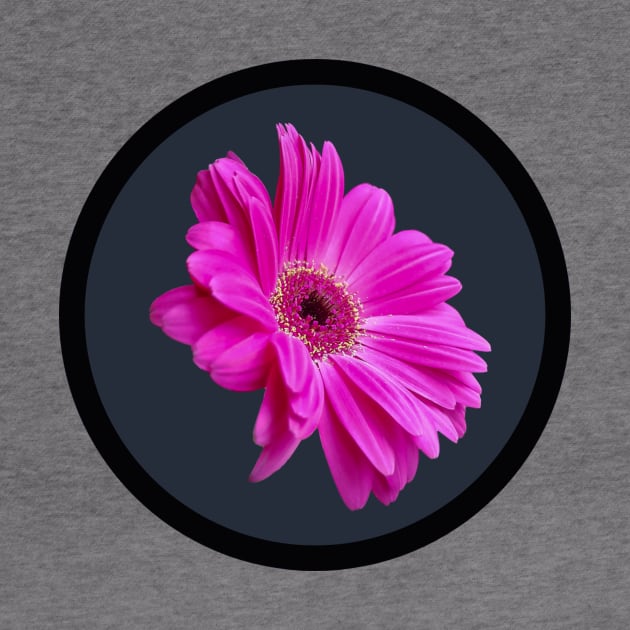 Pink Gerbera Daisy Flower Circle Frame by ellenhenryflorals